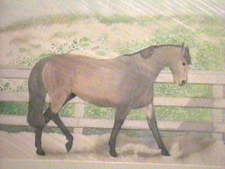 Bayhorse.jpg (12635 bytes)